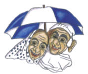Logo Narrenzunft „Der Gaudi Hans“ St. Blasien e.V.